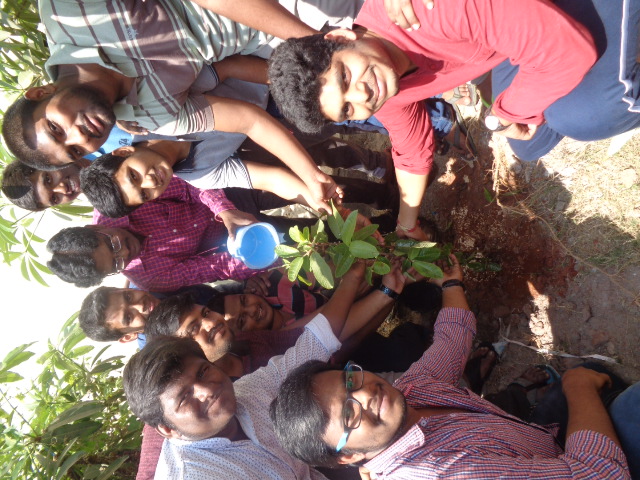 Tree Plantation 2